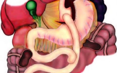 images - 2024-07-24T183631.800 images - 2024-07-24T183631.800